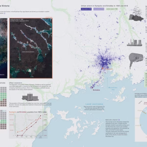 Pollution in the Murchison Bay, Lake Victoria