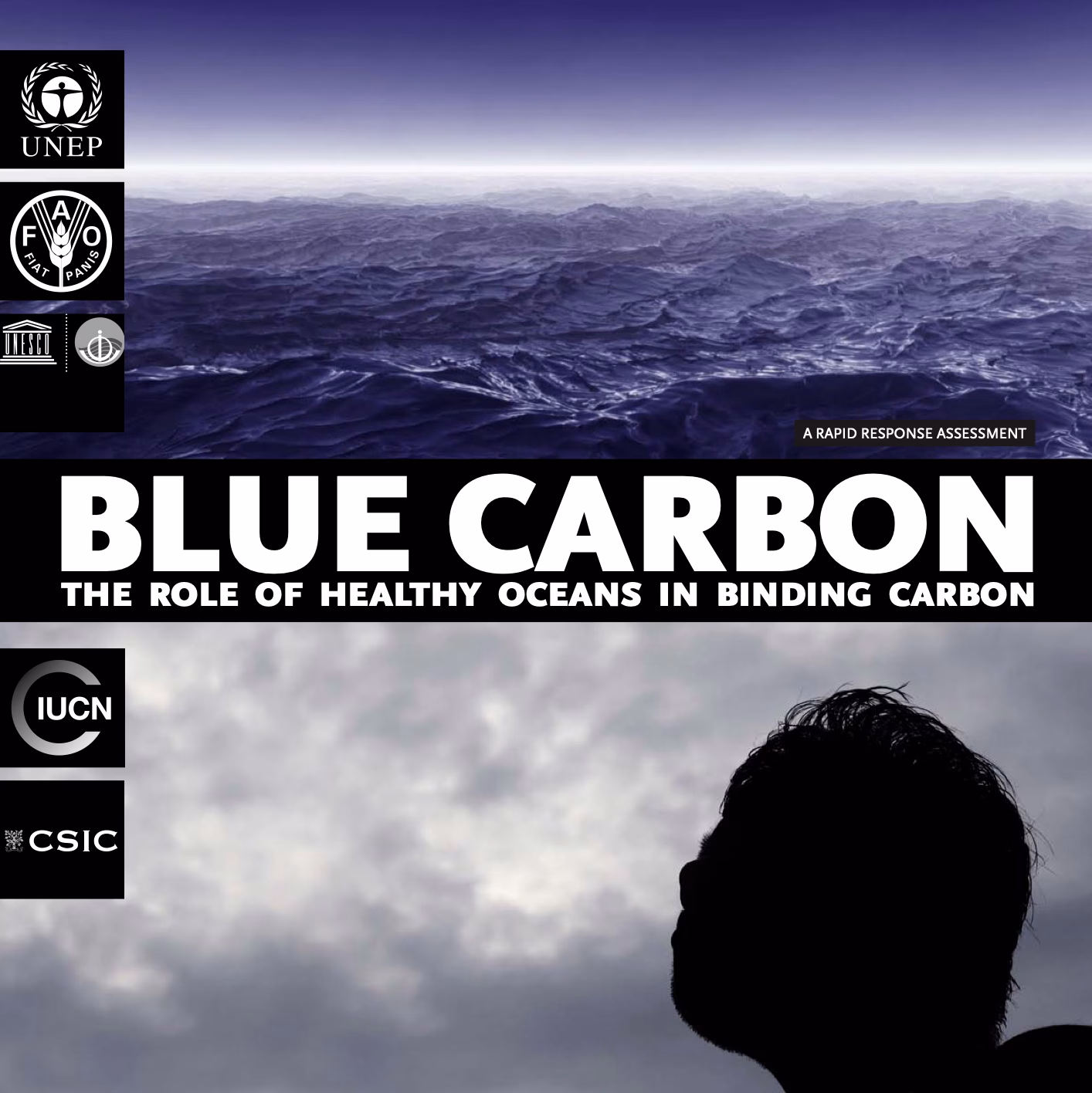 Blue Carbon: The Role of Healthy Oceans in Binding Carbon