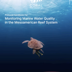 Protocol Handbook for Monitoring Marine Water Quality in the Mesoamerican Reef System